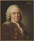 Painting of Carl Linnaeus