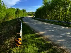 A two-lane asphalt road, bordered by guardrails and surrounded by grasses and trees, bends onto a concrete bridge