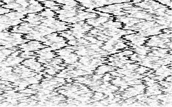 Graphs of Brownian motions (wild, random paths), dense in the plane, ordered next to each other and coalescing when they meet.
