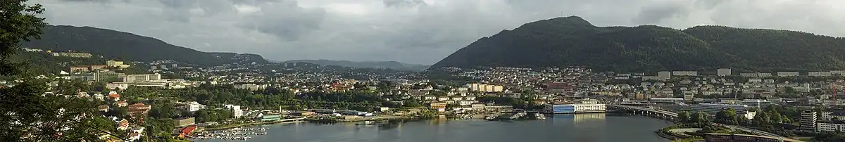 Panorama van Årstad, gezien vanaf de berg Fløyen. Op de voorgrond het meer Store Lungegårdsvann. Links het ziekenhuis Haukeland Universitetssykehus