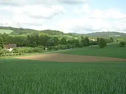 Velden nabij het dorp (2009)