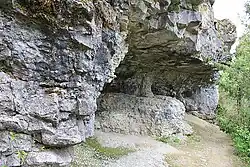 Kalksteenformatie bij Kallaste