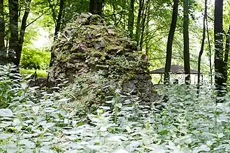 Restant van de burcht (2014)