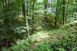 Locatie van voormalige burcht Čejchanov (2014)