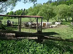 Boerderij in het dorp (2015)