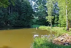 Vijver nabij het dorp (2017)