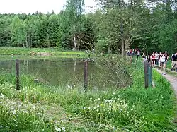 Meertje bij het dorp (2011)