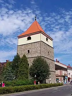 Kathedraal van Żywiec