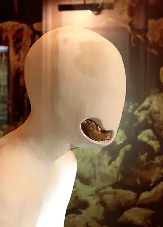 de kaak van de 'Azıxmens' in de Nationaal Museum van Geschiedenis in Azerbeidzjan