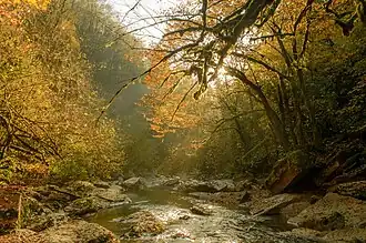 Nationaal park Sotsji