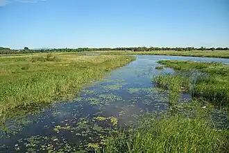Biosfeerreservaat Chankajski