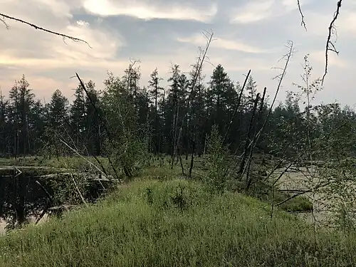 Twee thermokarst meren in Centraal Jakoetië