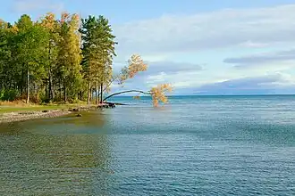 Biosfeerreservaat Bargoezinski