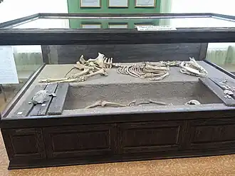 reconstructie van een paardengraf van de Bystrjankacultuur