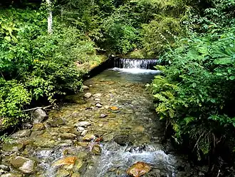 De bergrivier Bily Potik, een zijrivier van de Proet, stroomt door het bergmassief Marmarosj.