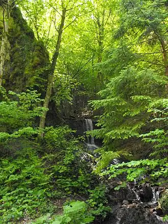 Waterval in het bergmassief Koeziejsky.