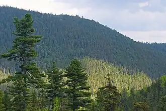 Biosfeerreservaat Sichote-Alinski