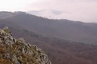 Herfst in Zapovednik Zejski.