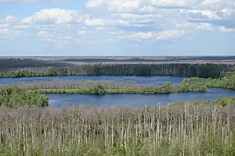 Biosfeerreservaat Nizjegorodskoje Zavolzje
