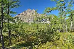 De taiga bij de rivier (onder andere lariksen) met op de achtergrond de bergtop Pik Gljatsiolog