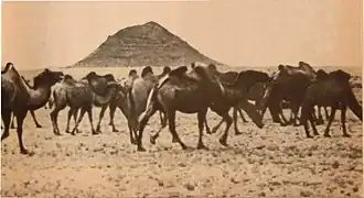 Noin-Ula omstreeks 1924-25, foto van Pjotr Kozlov