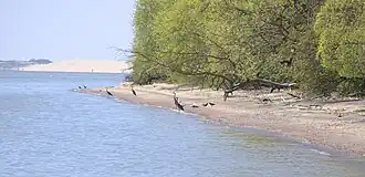 Nationaal Park Koerse Schoorwal