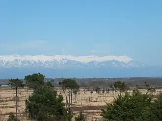 Kustvlakte met de Grote Kaukasus op de achtergrond.