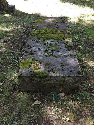 Aepinus' graf op de Raadi-begraafplaats in Tartu.