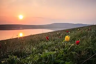 Voorjaar in Zapovednik Opoekski.