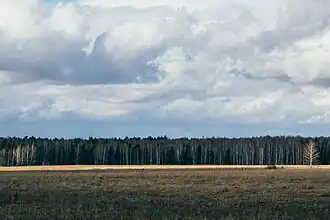 Een veld in Biosfeerreservaat Wolga-Kama in de late lente.