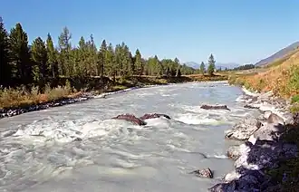 De rivier Katoen in Biosfeerreservaat Katoenski.