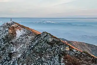 Pip Ivan Marmarosky (november 2011)