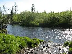 De rivier Maly Berkakit