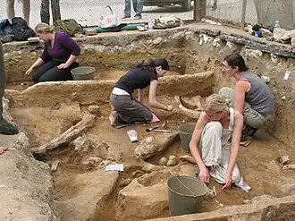 opgravingen in 2005