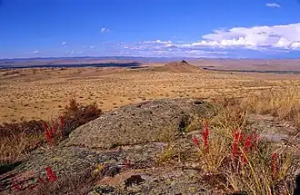 Biosfeerreservaat Uvs Nuurbekken