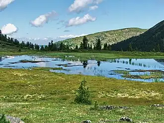 Tsjertogomeer in de Chamar-Daban