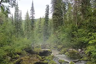 Bergtaiga in Nationaal Park Sjorski.