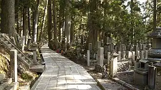 Pad doorheen de schaduwrijke begraafplaats