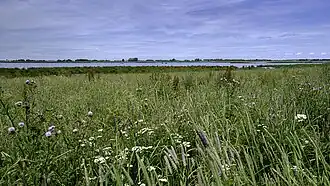 Drasland en water in het noordelijke deel van 't Roegwold