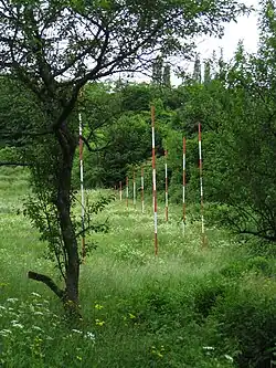 Unter den Stangen (1993) in Stuttgart