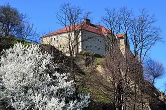Het Koninklijk kasteel van Sanok
