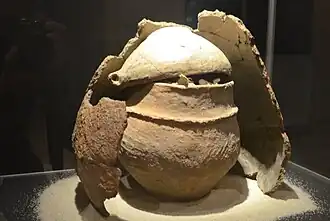 klokgraf van Januszowice