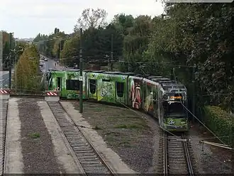 De eindlus met op de achtergrond de Antwerpselaan