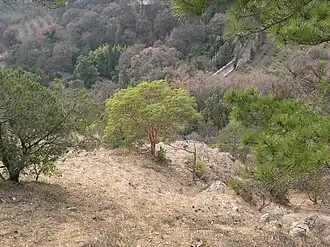 Zapovednik Mys Martjan