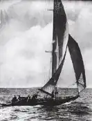 De Noorse Mosk II (goud op de 10m-klasse 1919-type)