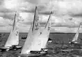 Race in 1952
