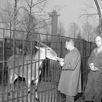 Adriaan Cornelis Valentin van Bemmel