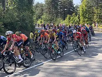 Ronde van Frankrijk 2020/Negentiende etappe