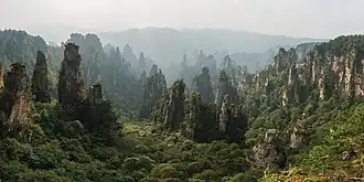 Het Zhangjiajie National Forest Park in Wulingyuan