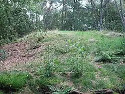 Grafheuvel bij de Bosbeekweg